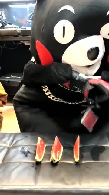 网红熊公仔吃瓜,趣味横生演绎网络热点